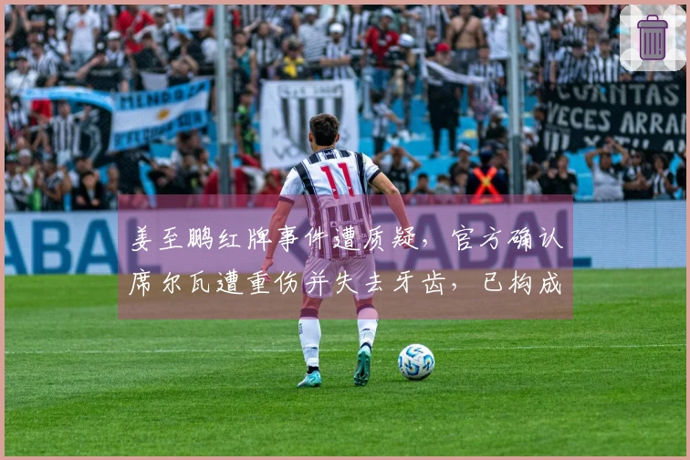 姜至鹏红牌事件遭质疑，官方确认席尔瓦遭重伤并失去牙齿，已构成轻伤
