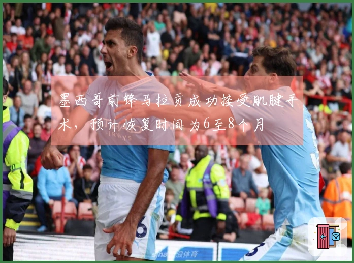 墨西哥前锋马拉贡成功接受肌腱手术，预计恢复时间为6至8个月