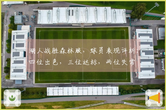 湖人战胜森林狼，球员表现评析：四位出色，三位达标，两位失常