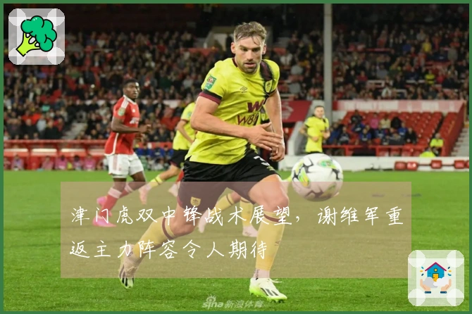 津门虎双中锋战术展望，谢维军重返主力阵容令人期待